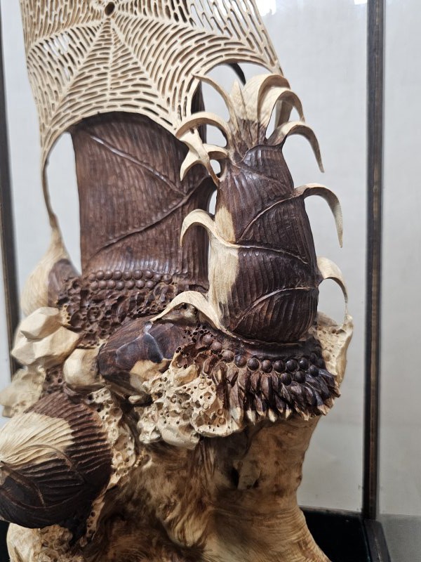 網羅財富 節節高升